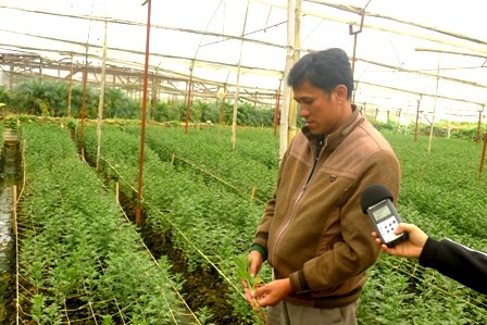 Vu Nhuan, un floricultor abanderado en aplicación de tecnología